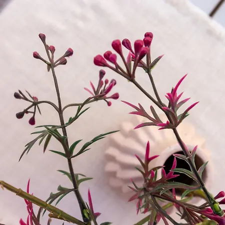 Honey Moon With Small Terrace Apartment Cagliari